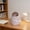 #195Pink, variant on Compact Desktop Trash Bin for Home Living Room, Mini Waste Basket for Student Dormitory Bedroom, Small Office Kitchen Desk Garbage Can with Removable Inner Bucket