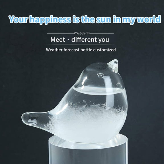 Storm Glass,Unusual Gifts Women Ladies,Weather Stations Weather Forecaster Barometer for Valentines Day Gifts,Unique Gifts for Women
