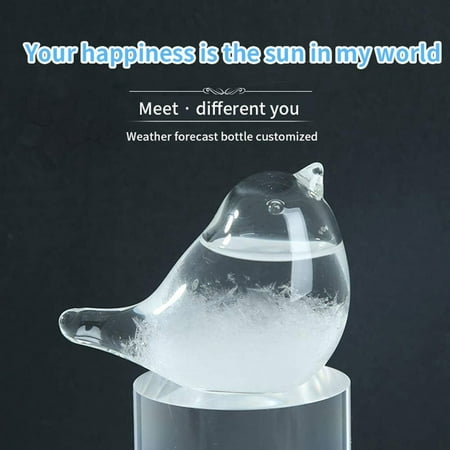 Glass Glass Forecaster Weather Liquid Weather Barometer 30ml Desktop Home Decor Yutnsbel