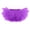 Purple, variant on Kilaqueen Women's Five Layer Tulle Tutu Skirt with Elastic High Waist, Short Fluffy Costume Skirt for Dance, Rave, Party and Dress Up Outfits