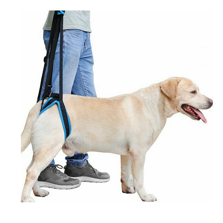 Dog rear sales lift harness