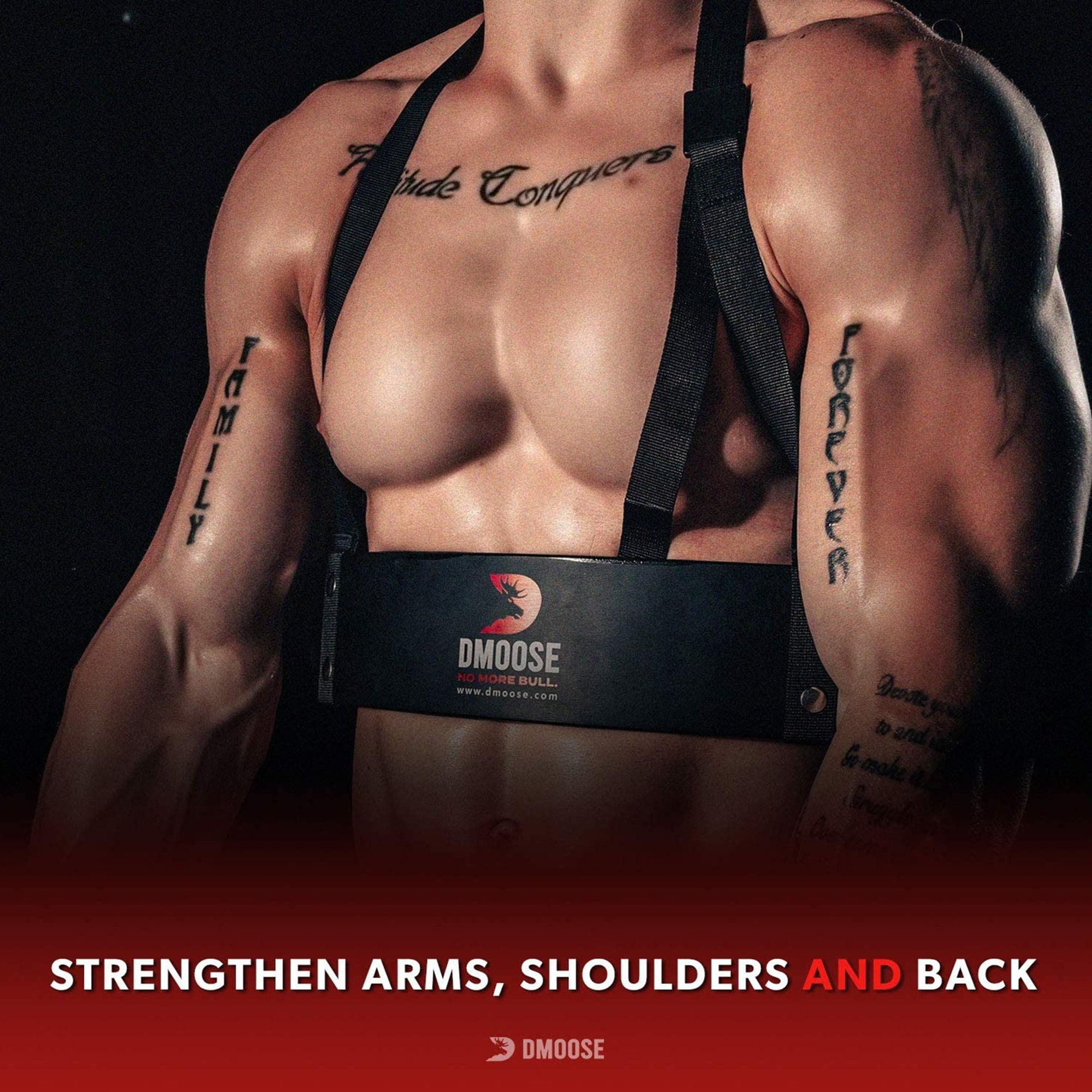 DMoose Fitness Arm Curl Blaster for Bicep Body Building and Muscle