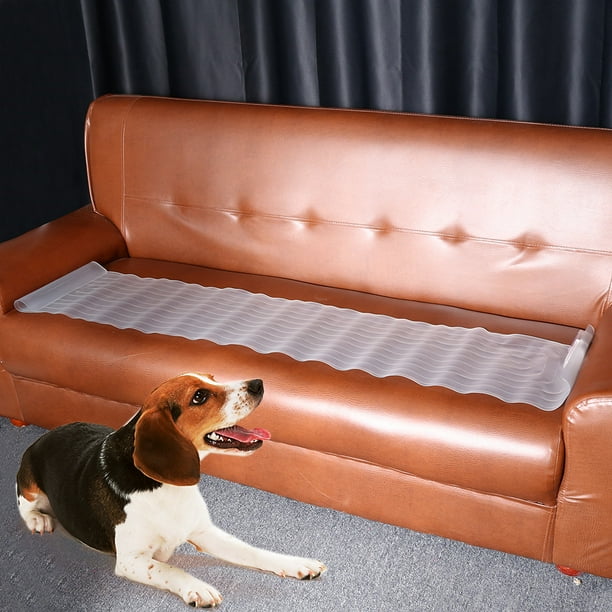 Shocking! Discover the Top 10 Best Dog Shock Mats for Safe and Effective Training Furry Folly