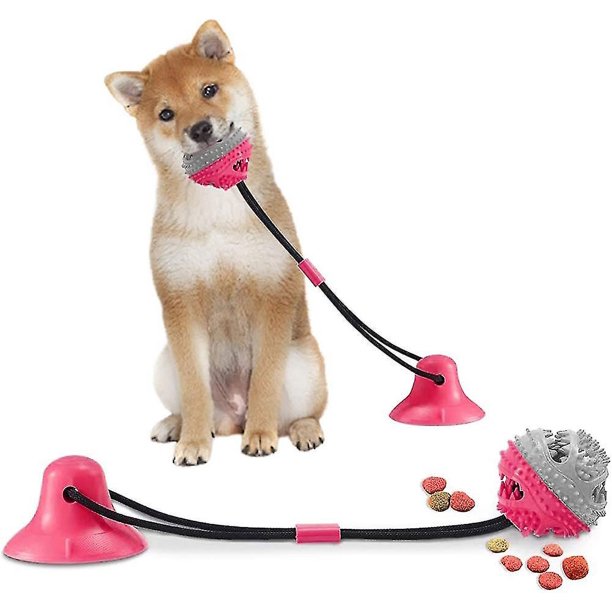 Juguete para perros con ventosa, cepillo de dientes para perros, juguete para masticar Molar para mascotas, regalo de juguete para masticar con cepillo de dientes para perros