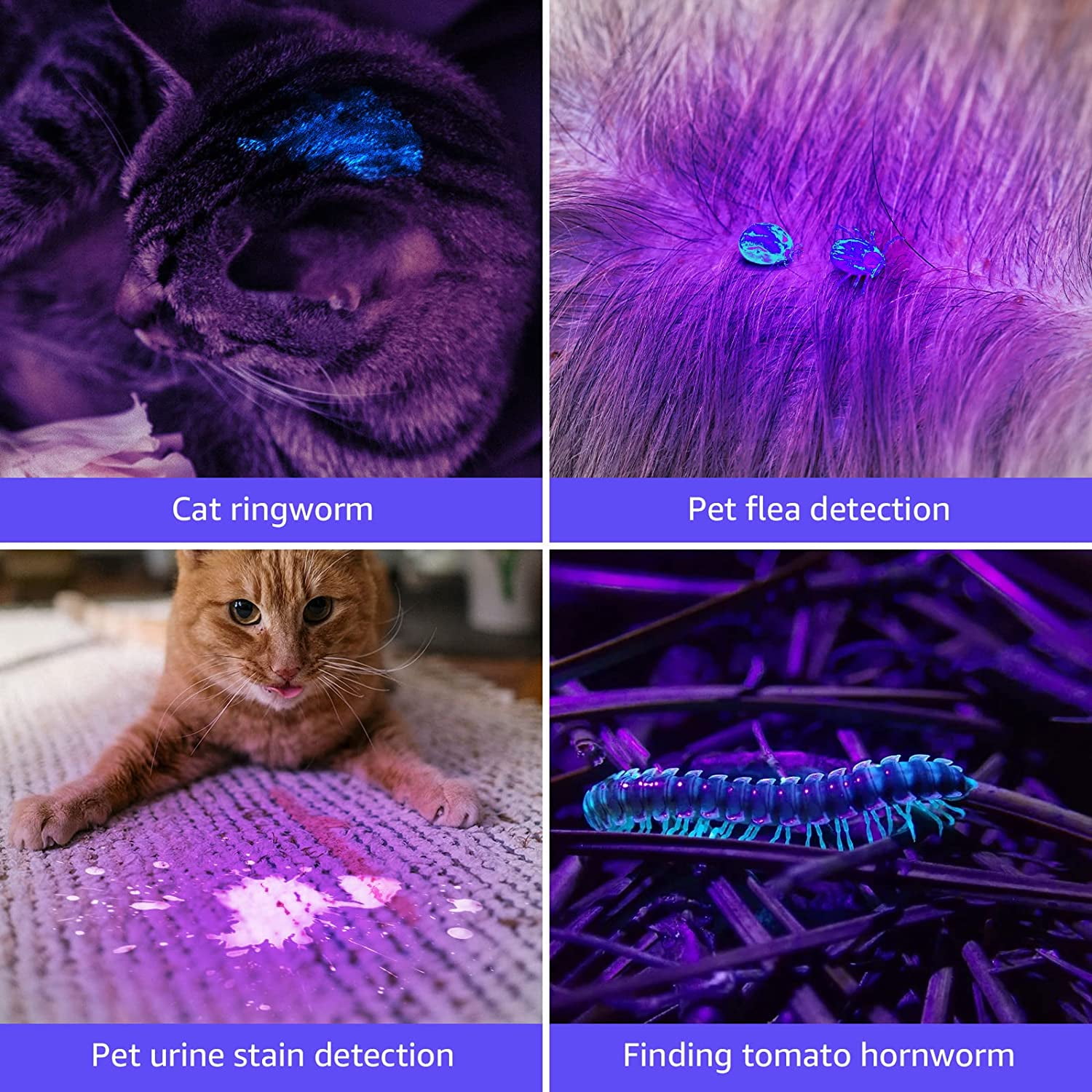 Lepro UV Black Light Flashlight with Batteries , 21 LEDs UV Light Handheld Blacklight 395nm Detector for Pet Urine