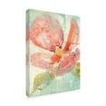 thumbnail image 2 of Trademark Fine Art 'Veiled Poppy II' Canvas Art by Jennifer Goldberger, 2 of 4