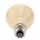 thumbnail image 5 of Bombilla Emisora ​​de Calor, Lámpara Calefactora Para Reptiles, 220-230V, Emisor De Cerámica Infrarroja, Lámpara De Bombilla De Calefacción Para Reptiles, Mascotas, 75W, ANGGREK Infrared Heater Lamp, 5 of 8