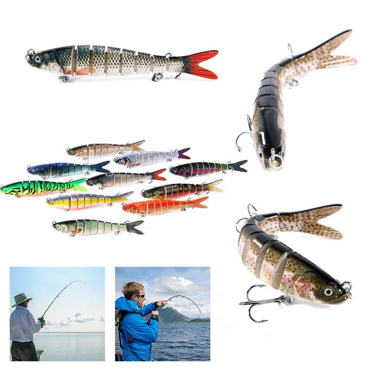 魚 ZX太刀魚 | 株式会社ベイシックジャパン