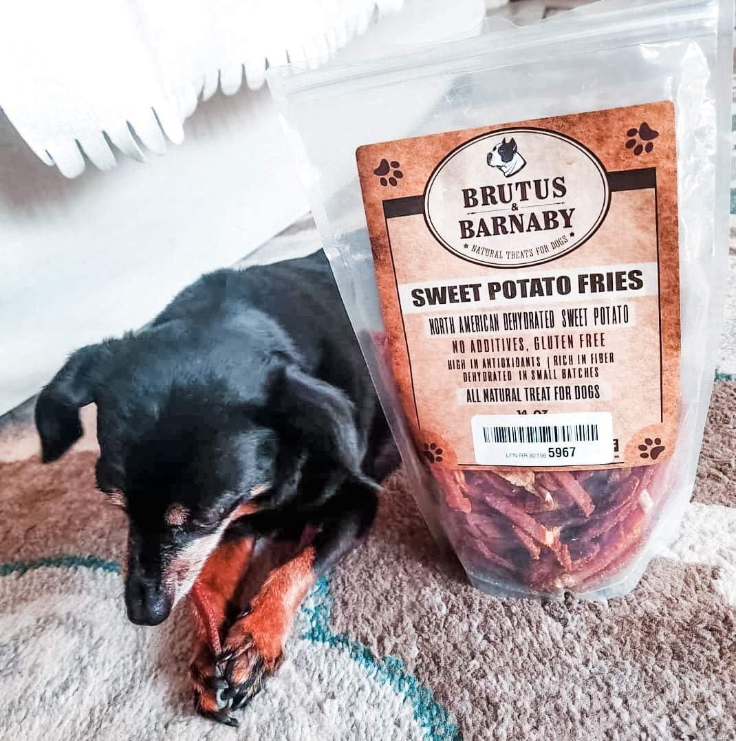 Brutus & Barnaby Sweet Potato Fries Gluten Free, Grain Free Dog Treats, 14 Oz