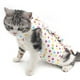 thumbnail image 1 of Traje de esterilización/castración para gatos, modelo impreso, traje postoperatorio para gatos, ropa para destete, ropa transpirable para mascotas, 1 Uds., 1 of 5
