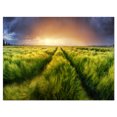 thumbnail image 2 of Storm and Light on Meadow - Landscape Artwork Canvas, 2 of 3