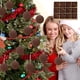 thumbnail image 1 of Juego de adornos de bolas de Navidad Paquete de 12 | Café Rojo Verde Flocado 2.36in | Decoraciones de árbol de Navidad irrompibles | Estilos ligeros, fáciles de colgar, variados para decoración de, 1 of 6