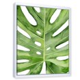 thumbnail image 2 of Designart Green Monstera Leaf Tropical Palm Botanical Detail FLOAT FRAME WALL ART, 2 of 4