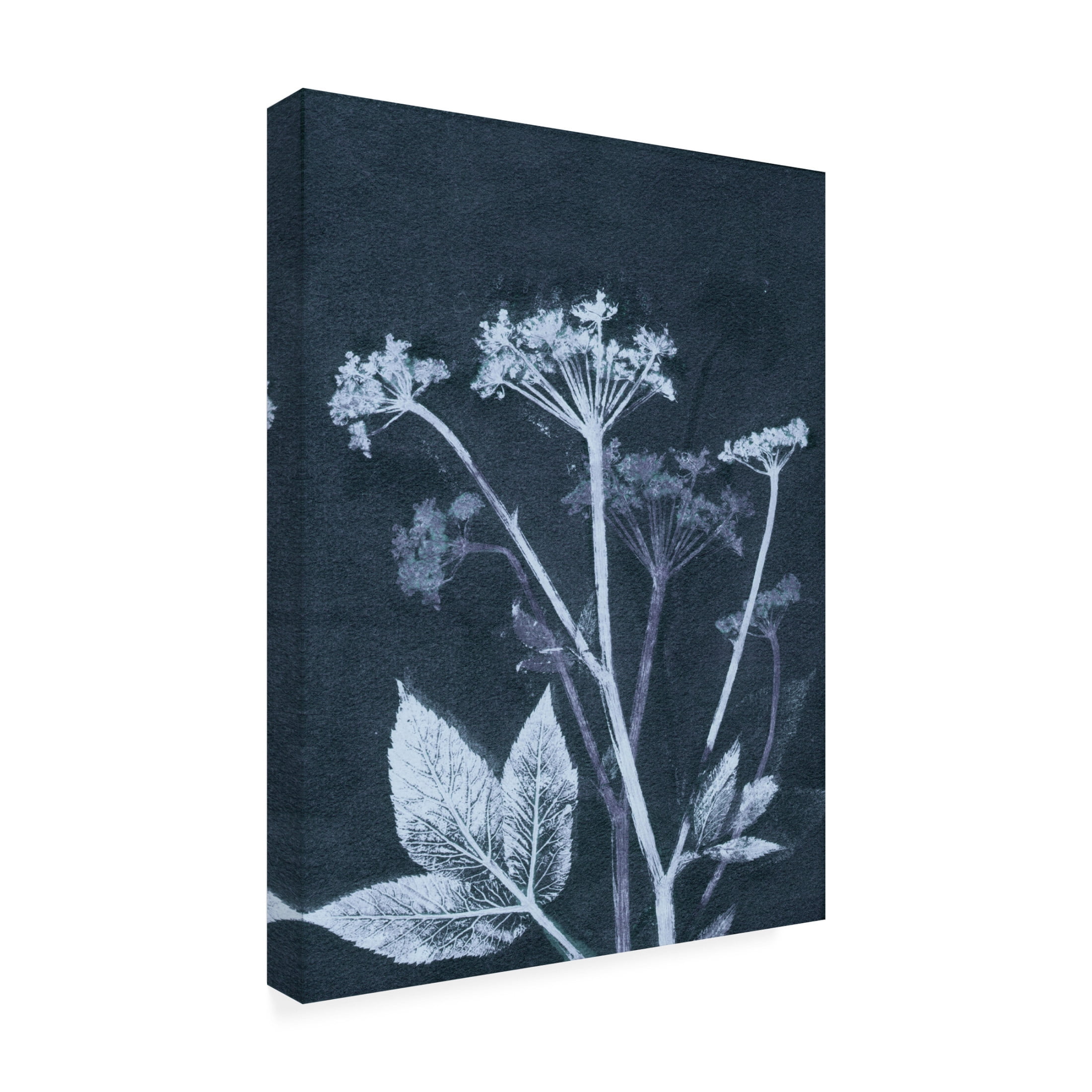 Canvas Wall Art - Pernille Folcarelli 'Ground Elder' Wall Art for Living Room, Bedroom, or Office Décor by Trademark Fine Art - 35 x 47 Inches