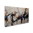 thumbnail image 3 of Trademark Fine Art Ch Studios Sands of Time III Canvas Wall Art - 22x32, 3 of 4
