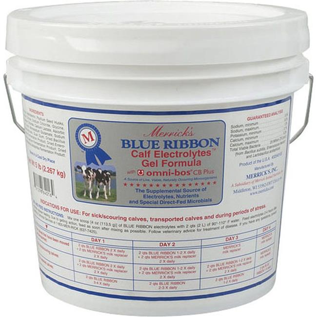 Diy Calf Electrolytes Do It Your Self