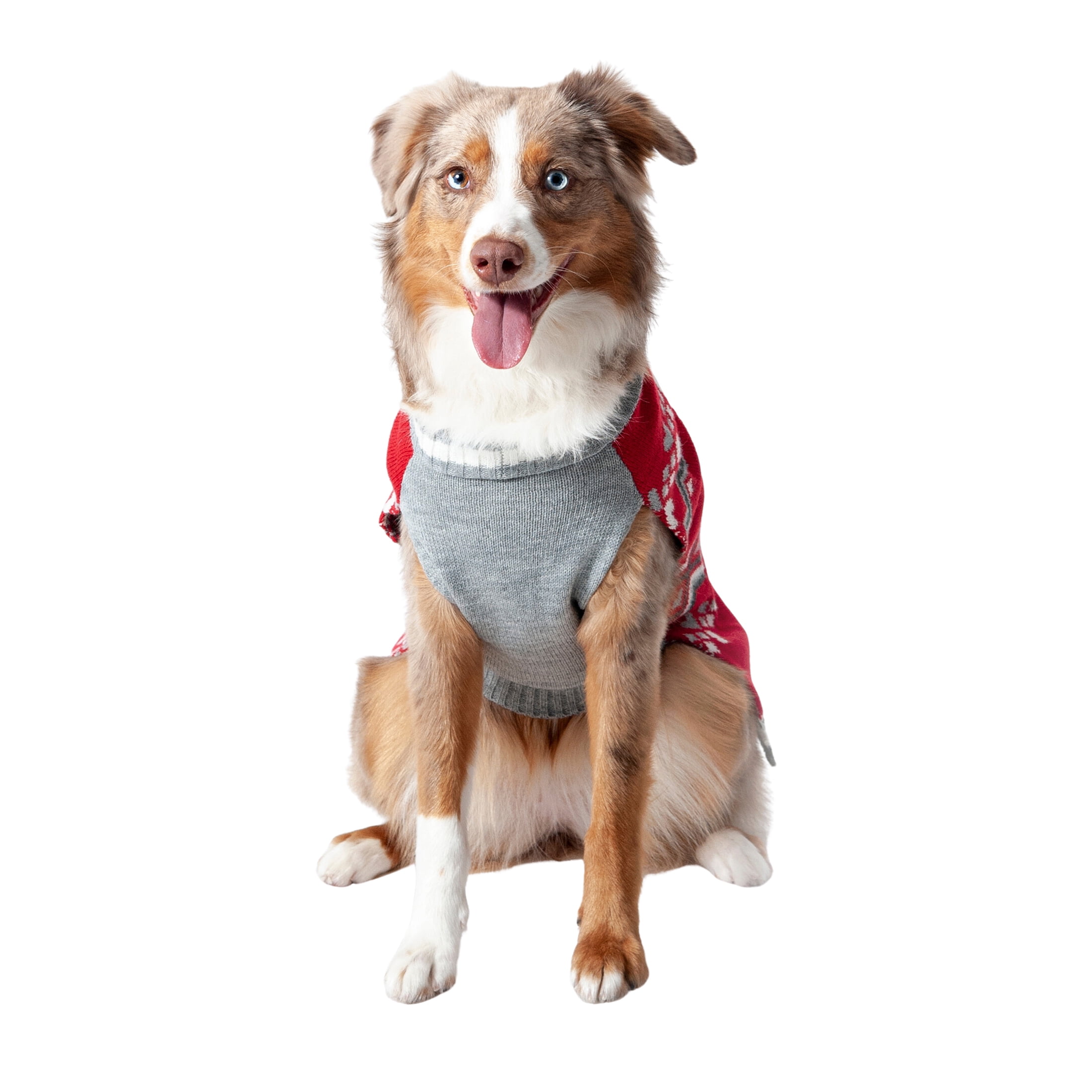 Vibrant Life Winter Dog and Cat Clothes Spoiled Red Sweater, Small