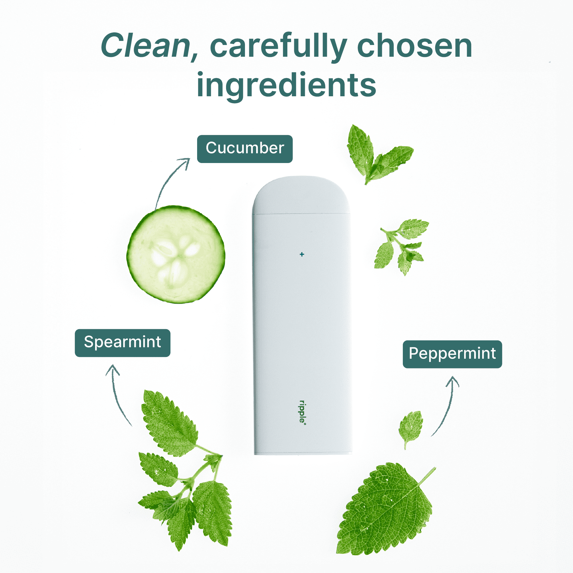 Ripple Peppermint Diffuser - 1,000 Puffs, 0% Nicotine, + Spearmint & Cucumber, 100% Recyclable