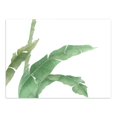 thumbnail image 2 of Pintura de Arte de Pared de Hojas de Palmera de Planta Verde l en Impresiones de Imagen para Decoración de Fondo de TV de Sala de Estar hoja de plátano M Baoblaze Pintura al óleo moderna de la lona, 2 of 8