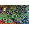 thumbnail image 2 of Art.com Irises Art Print by Vincent van Gogh, 36" x 24", 2 of 4