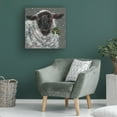 thumbnail image 5 of Trademark Fine Art Mary Miller Veazie Wren The Christmas Sheep Canvas Wall Art - 14x14, 5 of 5