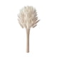 thumbnail image 2 of Tallos de pasto sintético Pampas de 60 piezas - Bodas Bohemias y Decoración del Hogar, Arreglos de Flores Secas para Centros de Mesa, Mesa y Decoración de Fiestas, 2 of 6