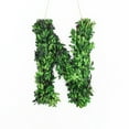 thumbnail image 1 of Modern Home 12" Real Preserved Boxwood Monogram Wreath Letters - N, 1 of 2
