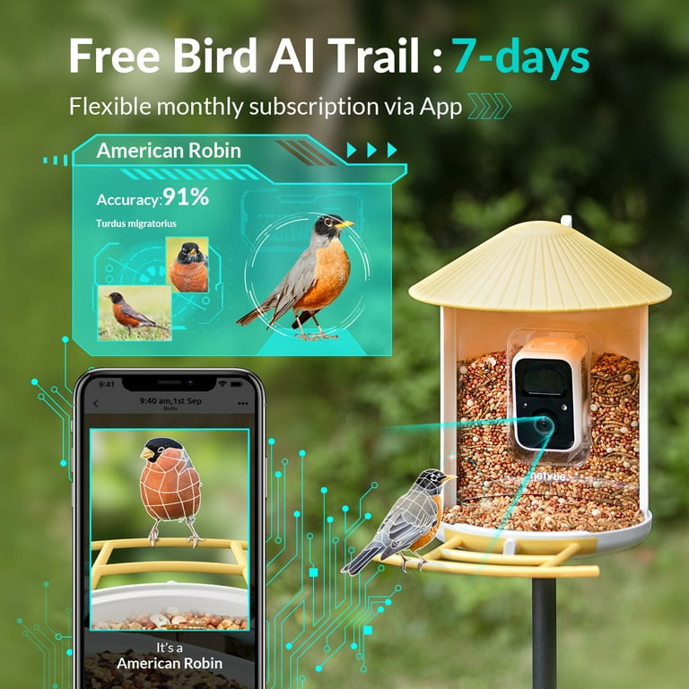 Birdfy Feeder AI & Lite Version: The Smart Camera Bird Feeder