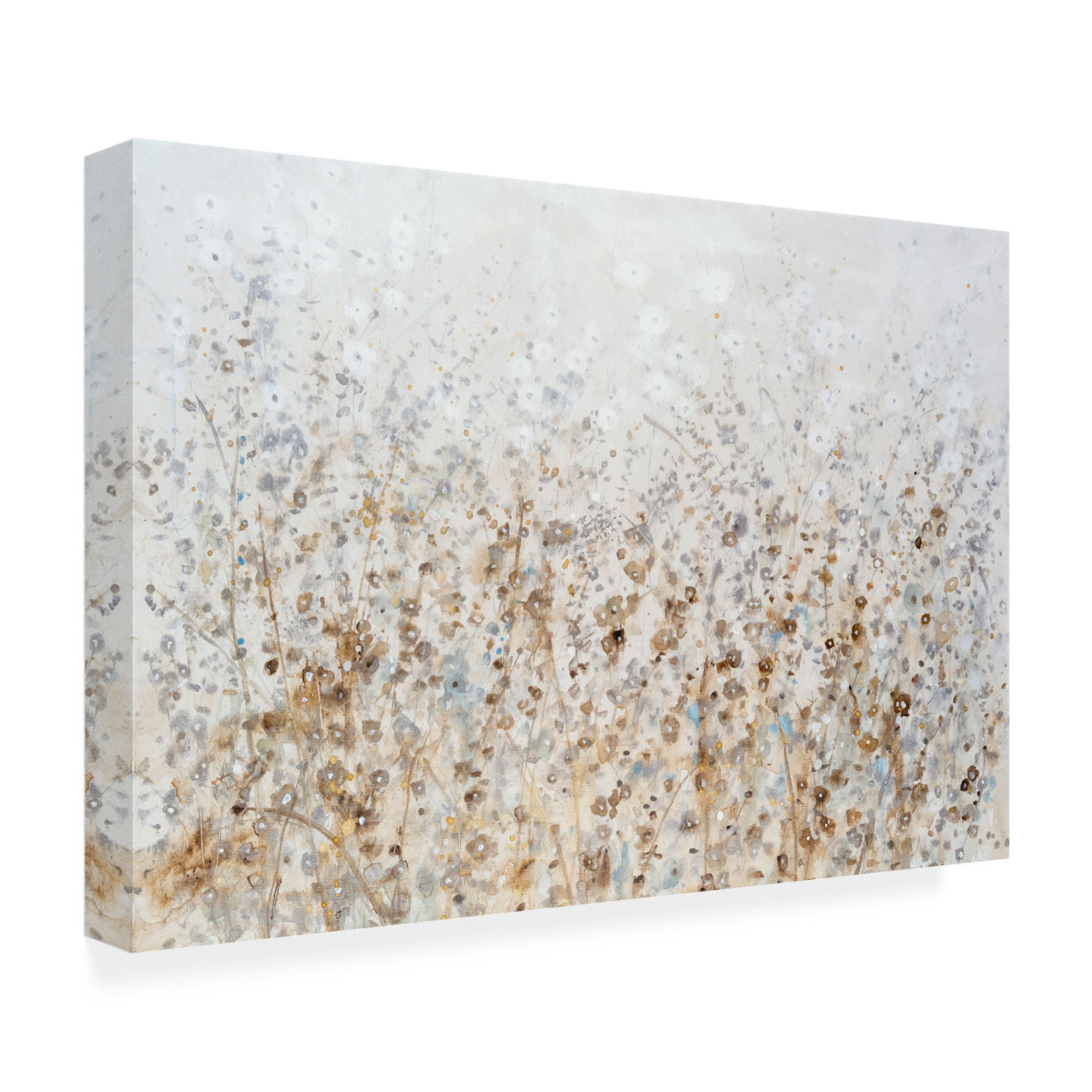 Trademark Fine Art Tim OToole Wildflower Cluster II Canvas Wall Art