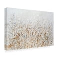 thumbnail image 2 of Trademark Fine Art Tim OToole Wildflower Cluster II Canvas Wall Art, 2 of 4
