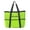 Bright Green, variant on Mesh Beach Bag for Family Toys Vacation Essentials Multifunctional Beach Bags
