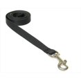 thumbnail image 1 of 4 ft. Nylon Webbing Dog Leash, Black - Extra Small, 1 of 1
