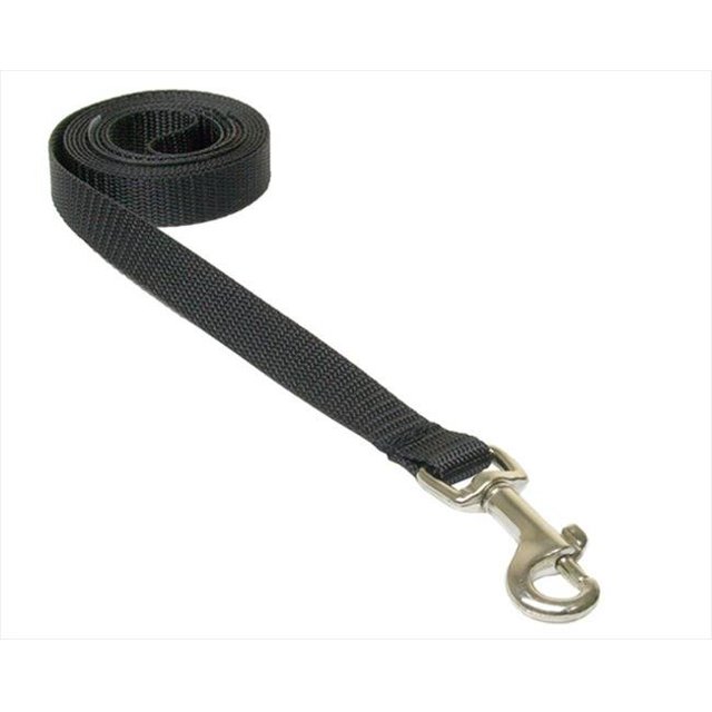 4 ft. Nylon Webbing Dog Leash, Black - Extra Small