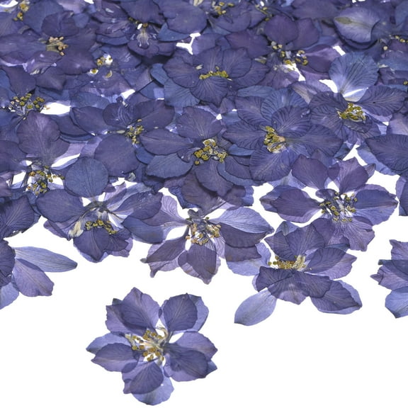 48-Pack Dried Pressed Flowers for Resin, Real Natural Bulk Dry Floral for Crafts/DIY Jewelry/Soap Making/Scrapbooking/Candle/Epoxy Resin Supplies/Photo Frames [Dark Purple]
