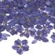 thumbnail image 1 of Paquete de 24 flores secas prensadas para resina, flores naturales secas para manualidades/joyería/jabones/scrapbooking/velas/resina epóxica/marcos de fotos [Púrpura oscuro], 1 of 1