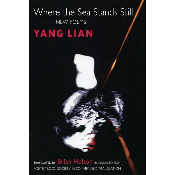 Where the Sea Stands Still (Paperback)