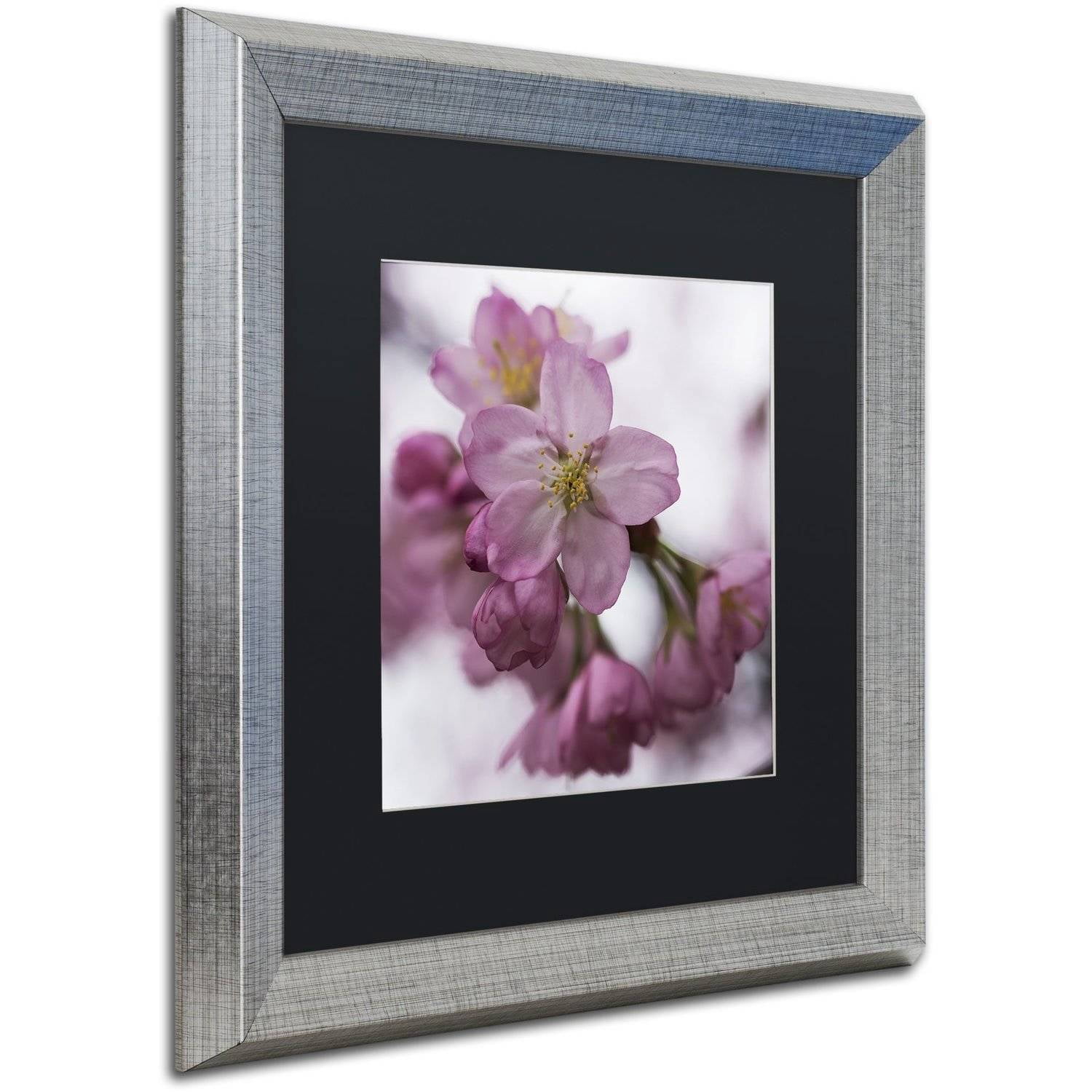 Trademark Fine Art "Cherry Pink" Canvas Art by Kurt Shaffer, Black Matte, Silver Frame