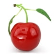 thumbnail image 1 of POINTERTECK Cherries Fruit Props Double Cherry Ornaments Photography Artificial Realistic And Beautiful Foam Simulation Food Model, 1 of 11