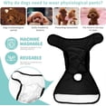 thumbnail image 3 of Washable Dog Diapers (3 Pack), Highly Absorbent Dog Diapers, 3 Pack Washable Dog Diapers Reusable Washable Female Dog Diapers (Black, S), 3 of 5