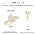 thumbnail image 6 of Rosec Jewels Certified Lab Grown Diamond Oval Engagement Ring for Women - Double Halo Ring - EF-VS Quality - with Jewelry Box, 18K Yellow Gold, US 11.50, 6 of 9