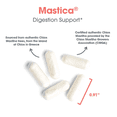 thumbnail image 5 of ARG Mastica Digestive Support - Supports Digestive Comfort - Delivers 1000 mg Chios Mastic Gum Resin per Serving - Vegetarian & Hypoallergenic - 120 Servings - 240 Capsules, 5 of 7