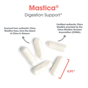 ARG Mastica Digestive Support - Supports Digestive Comfort - Delivers 1000 mg Chios Mastic Gum Resin per Serving - Vegetarian & Hypoallergenic - 120 Servings - 240 Capsules