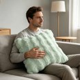 thumbnail image 6 of Btomtd Wavy Plush Throw Pillow Cover 18 x 18 Inch, Soft Decorative Couch Pillow Covers, Hidden Zipper Pillow Cases for Sofa Bedroom, Mint Green, 6 of 7