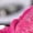 Hot Pink, variant on Mepaouo Women Air Running Shoes Fashion Tennis Breathable Lightweight Walking Sneakers for Gym Workout
