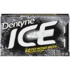 Dentyne Ice Arctic Chill Sugar Free Gum, 1 Pack of 16 Pieces