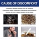 thumbnail image 5 of 7-Days Anti-smoking Magnet, Magnetic Therapy Quit Stop Smoking Smoke Magnet Magnetic Therapy Ear Auricular Loss Weight Acupressure, 5 of 5