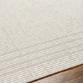 thumbnail image 5 of BoutiqueRugs Eneco Cream Bordered Area Rug - Outdoor Safe - Bone, Dark Gray, Cloud Gray - 6'7" x 9', 5 of 5