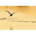 thumbnail image 2 of Alan Hausenflock 18x13 White Modern Wood Framed Wall Art Titled - Egrets in the Sunrise IV, 2 of 5