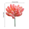 thumbnail image 3 of Coofit Artificial Succulent Lifelike Faux Succulent Plant Unpotted Succulent for Home, 3 of 10