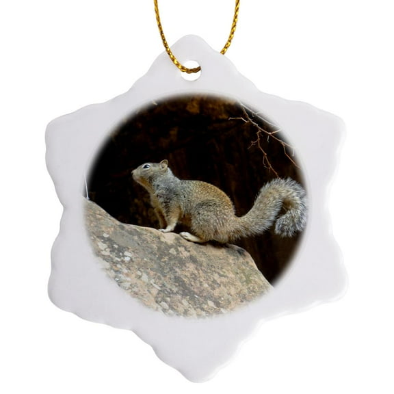 3drose, a Cute Squirrel on a Rock with a Bushy Tail in Zion National Park, 3 inch Snowflake Porcelain Ornament